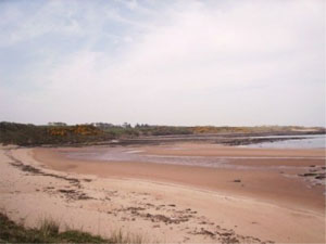 sand yachting northumberland