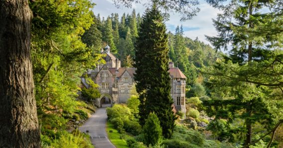 Cragside - one of the top things to do in Northumberland as a family 