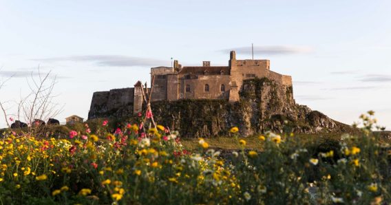 Lindisfarne Castle - perfect day out in Northumberland 