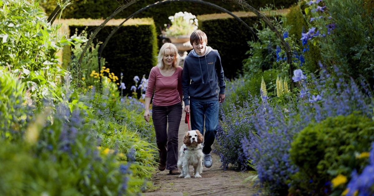 Mother and Son walking a dog in a field